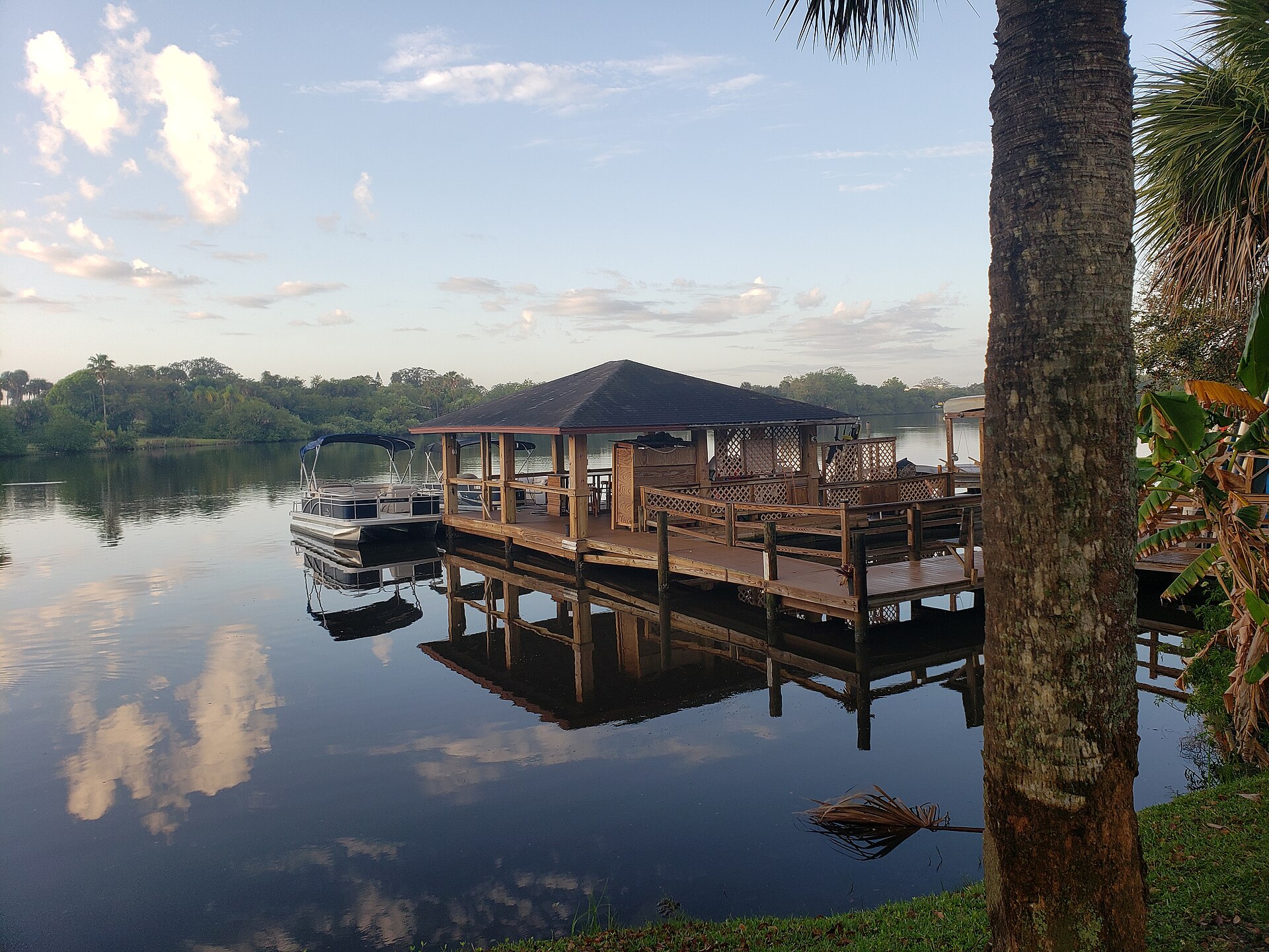 A wooden dock on Crane Creek in Melbourne, Florida, with palm trees lining the shore and shallow brown water beneath.